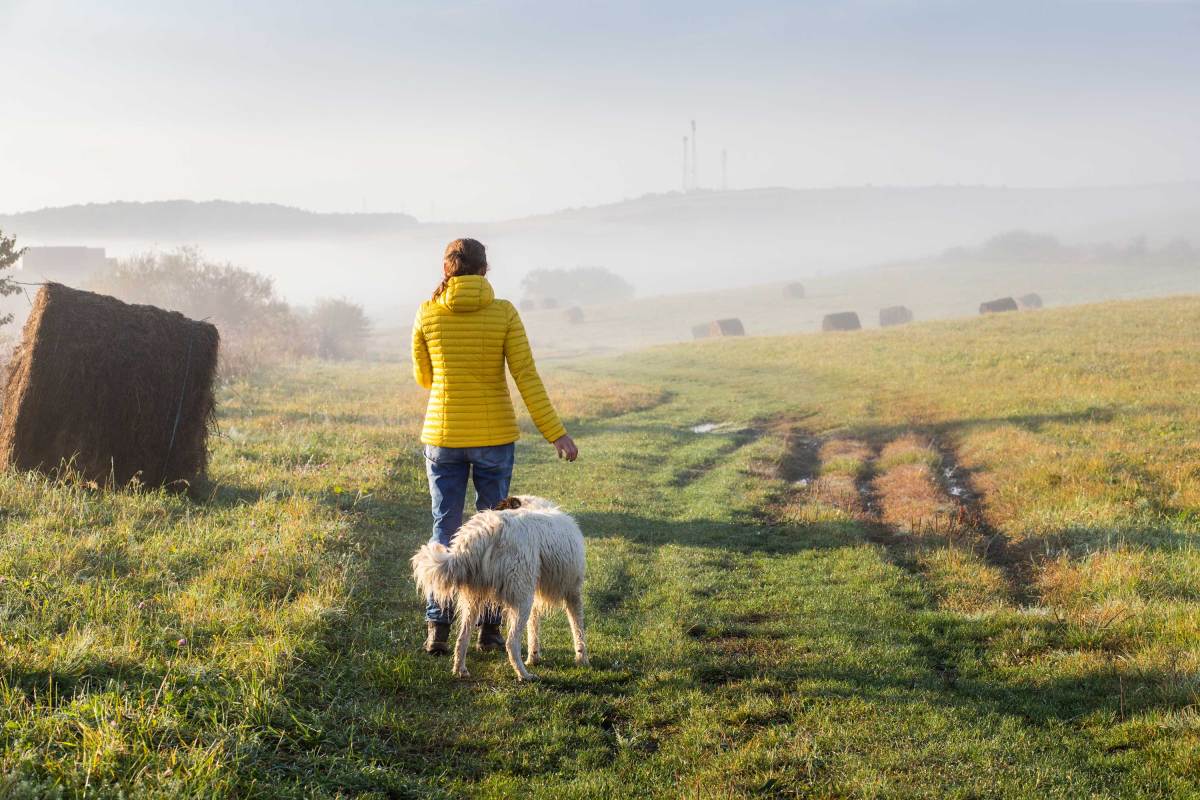 Frau in gelber jacke geht mit Hund an einem Herbstmorgen spazieren