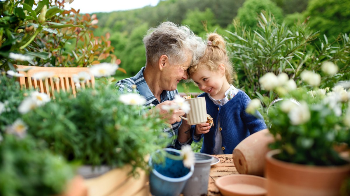 Oma mit ihrem Enkelkind im Garten von Blumen umgeben, die sich mit der Stirn berühren und in die Augen schauen