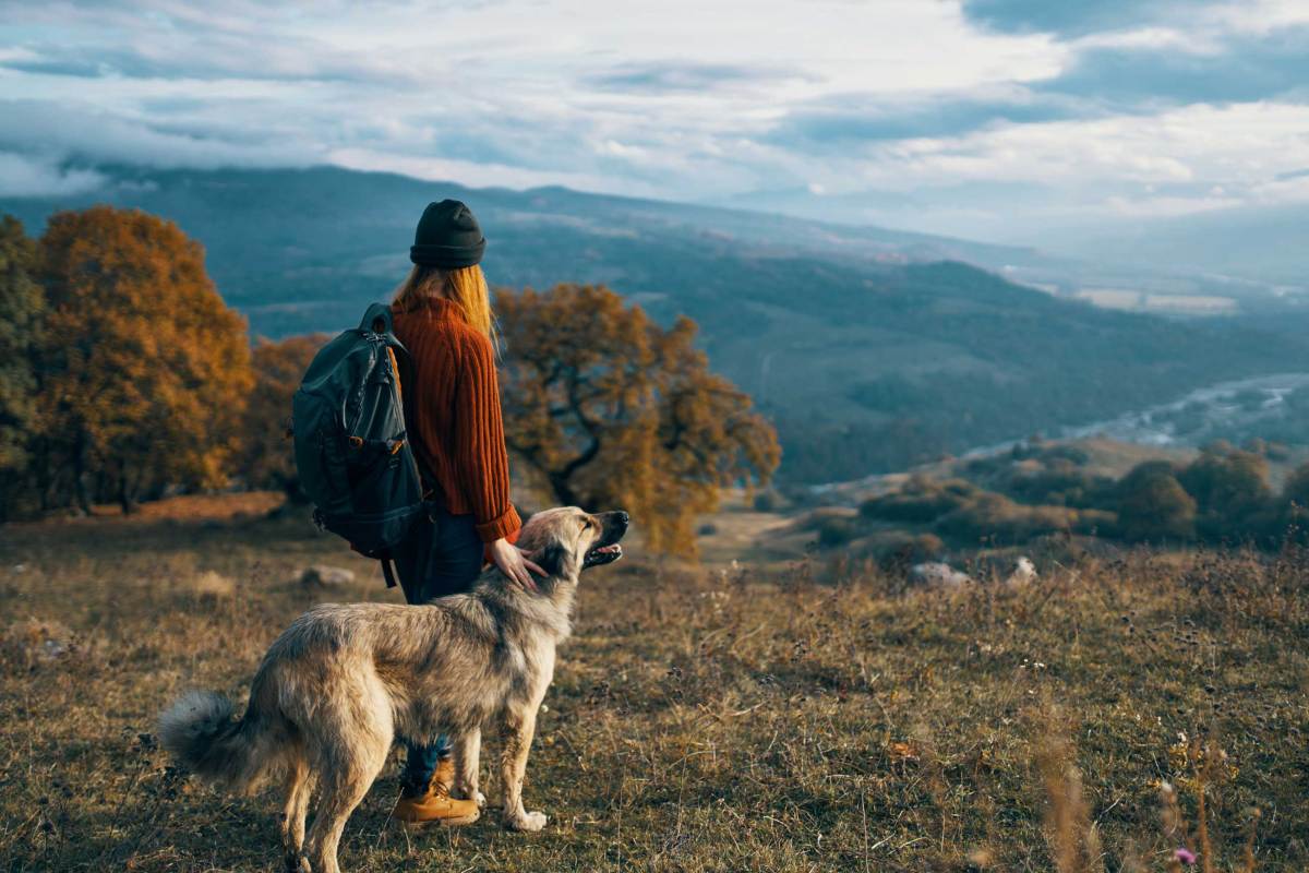 Frau wandert mit ihrem Hund in den Bergen. Natur, Reisen, Landschaft