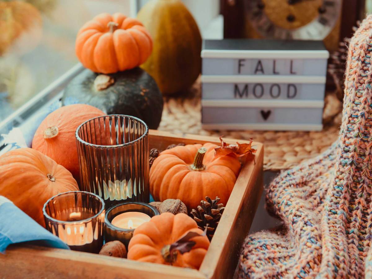 Herbst gem&uuml;tliche Stimmung Zusammensetzung auf der Fensterbank. K&uuml;rbisse, Zapfen, Kerzen auf Holztablett, verschwommen Herbst Stimmung Nachricht auf Leuchtkasten, warme Plaid. Herbst, Herbst, Hygge Heimtextilien.