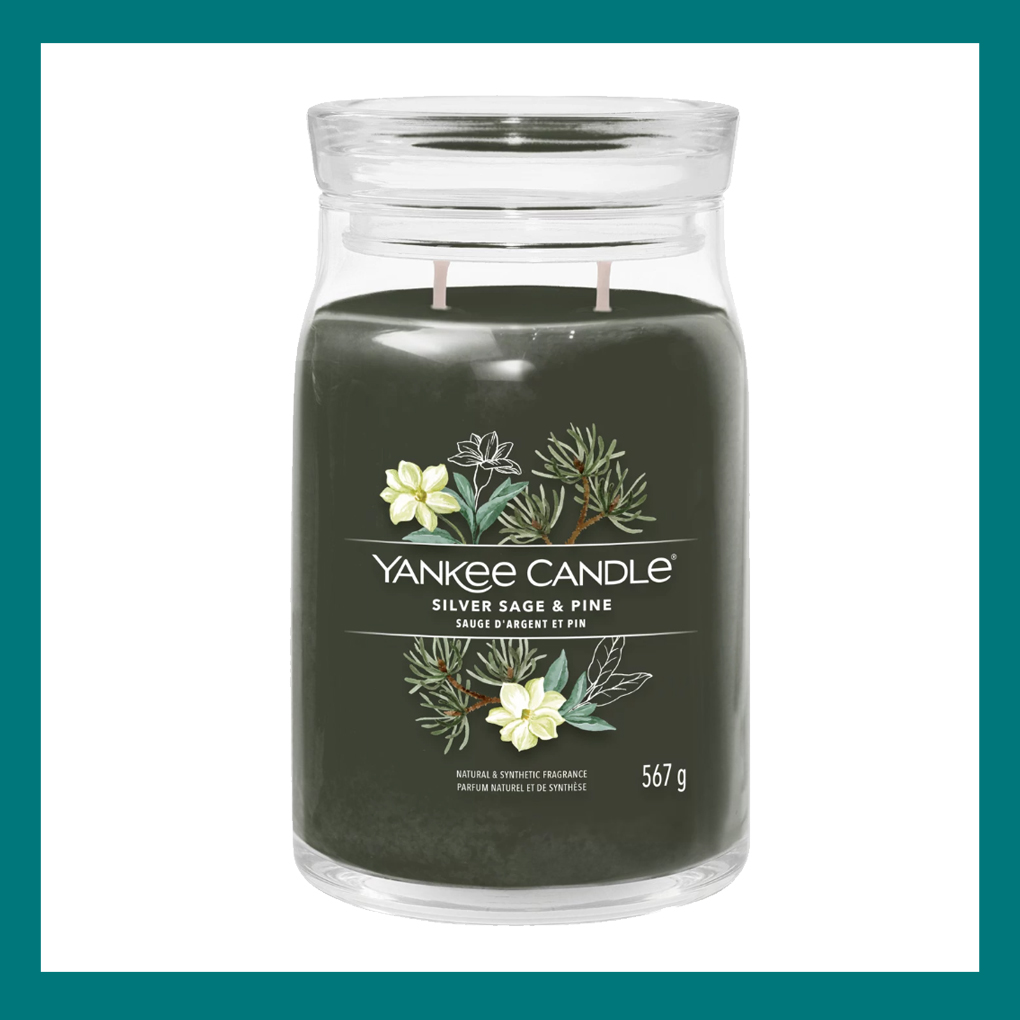 Silver Sage & Pine von Yankee Candle