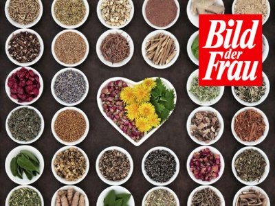 Von Mönchspfeffer bis Steinklee: 20 Frauenkräuter