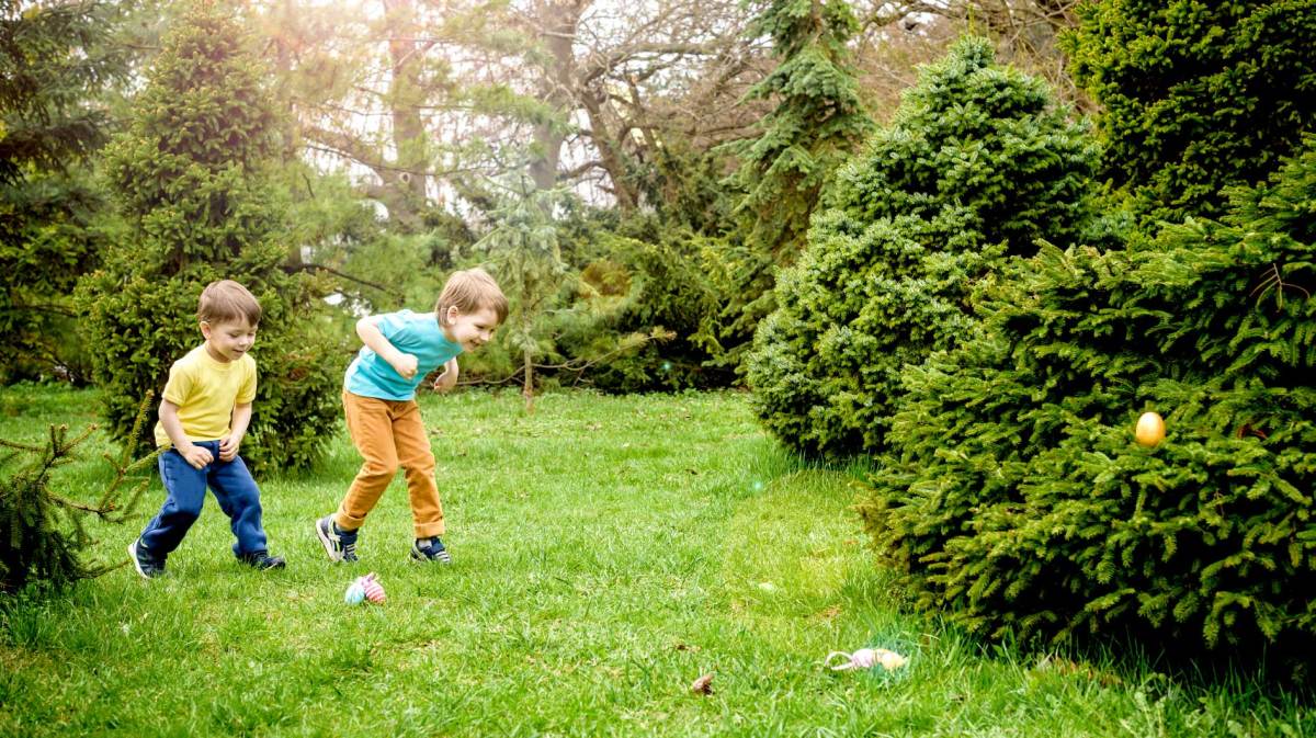 Zwei kleine Jungs suchen im Garten nach Ostereiern.