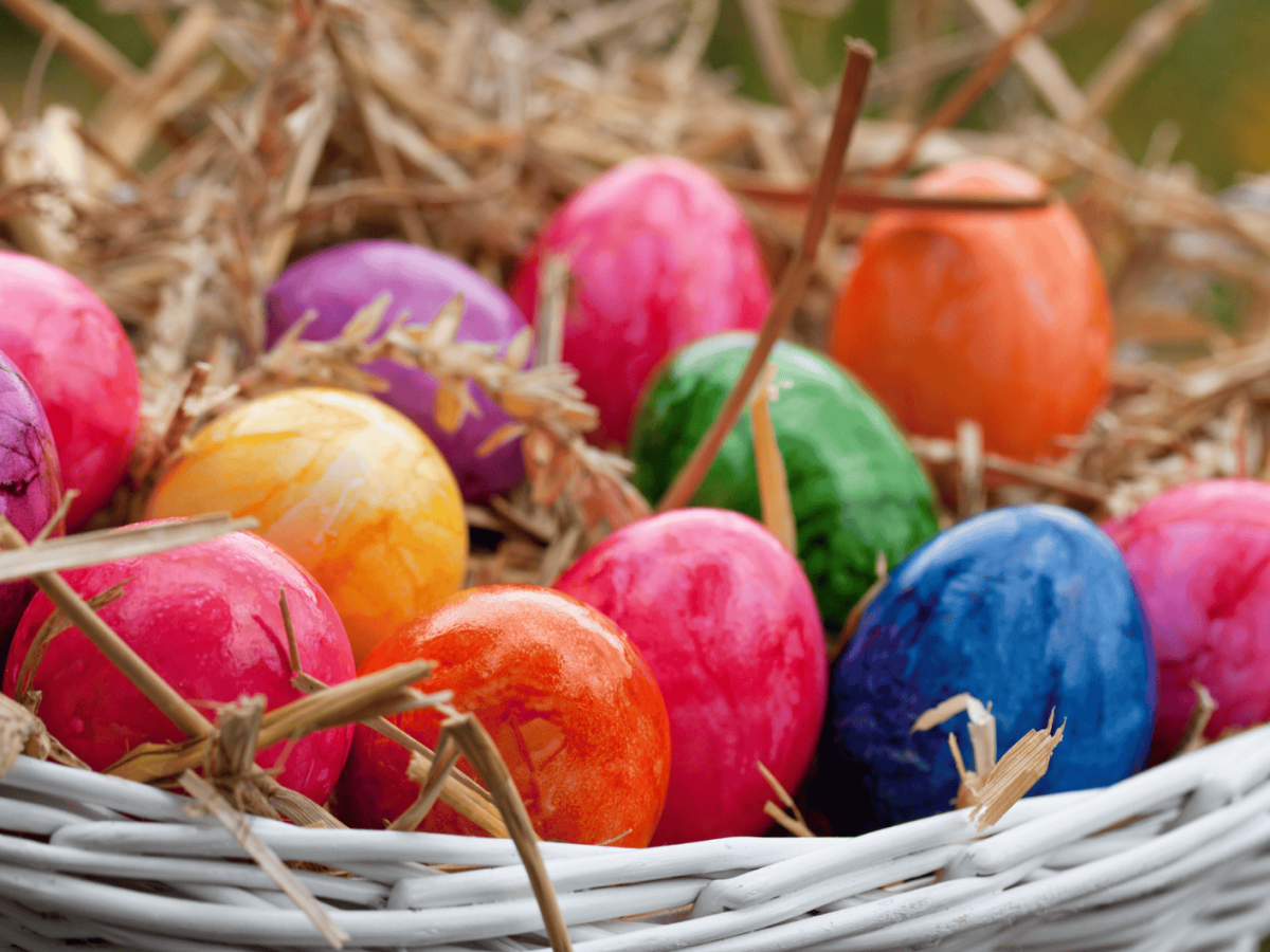 Ostern: Wie lange sind gefärbte Eier wirklich haltbar?
