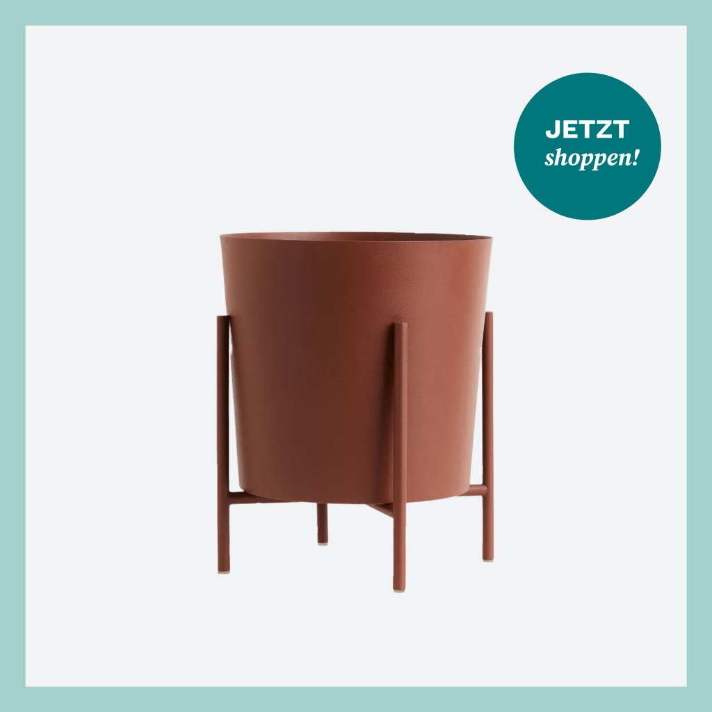 Blumentopf H&M Home klein