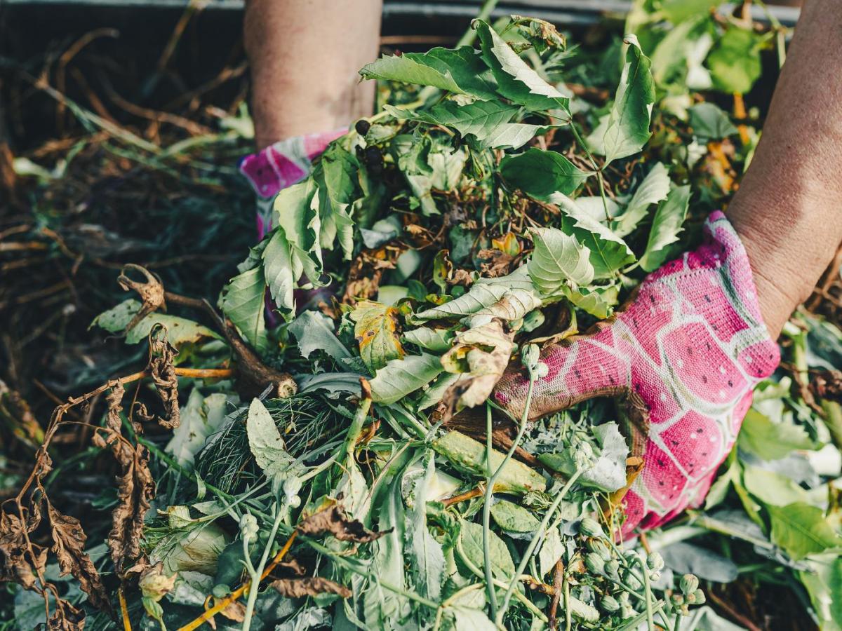 Frau hält Kompost in der Hand.
