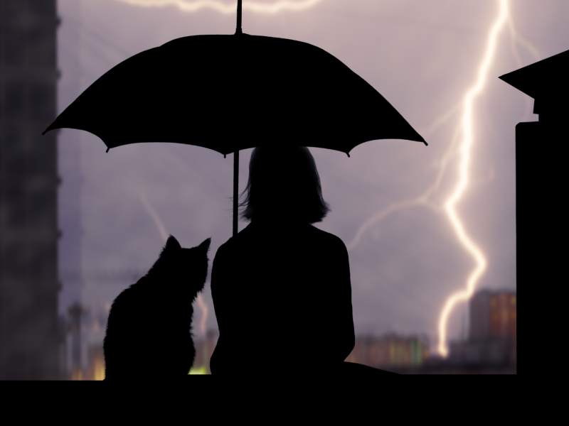 Frau sitzt mit einer Katze unter einem Schirm in der Dunkelheit und schaut auf ein Gewitter