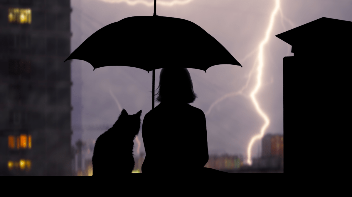 Frau sitzt mit einer Katze unter einem Schirm in der Dunkelheit und schaut auf ein Gewitter