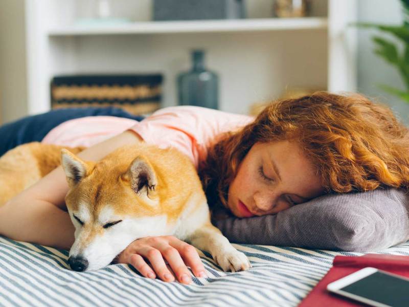 M&auml;dchen im Teenageralter liegt mit ihrem Hund auf dem Bett und schl&auml;ft.