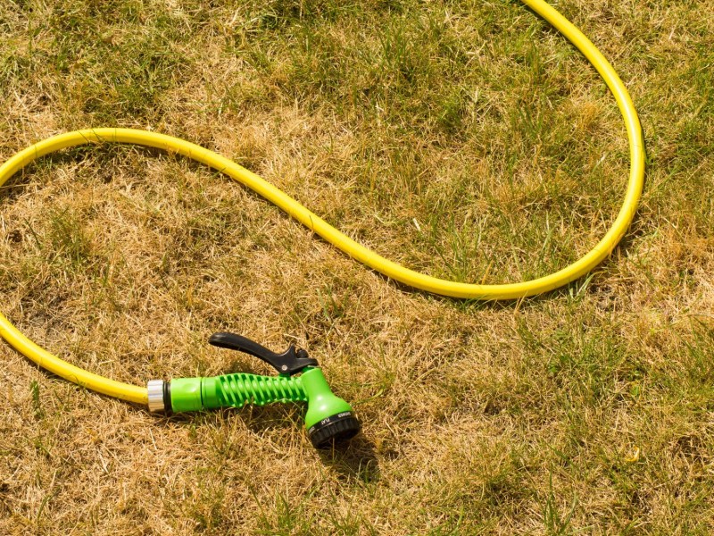 Verbrannter Rasen darauf liegt gelber Gartenschlauch mit gr&uuml;ner Spritzpistole