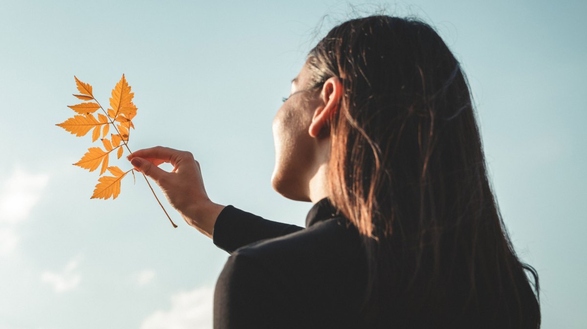 Frau von hinten hält herbstliches Blatt in den Himmel