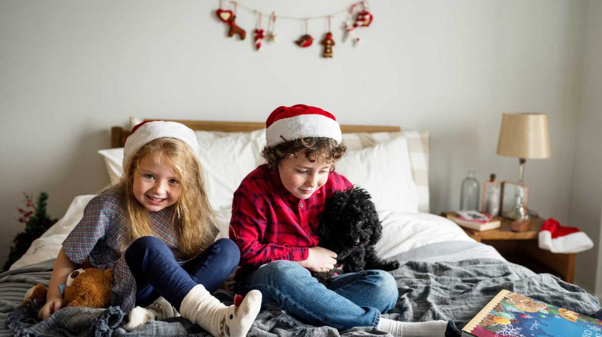 Geschwister sitzen auf dem Bett und spielen mit einem Plüschtier und dem kleinen Familienhund.