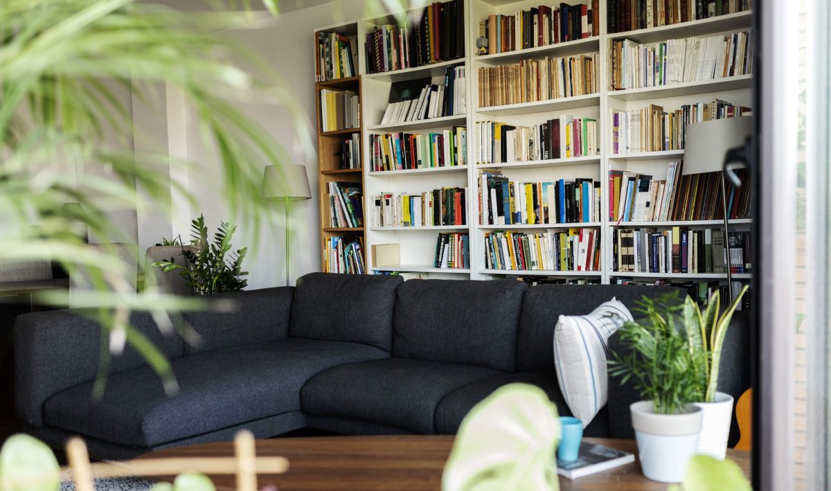 Wohnzimmer mit Bücherwand