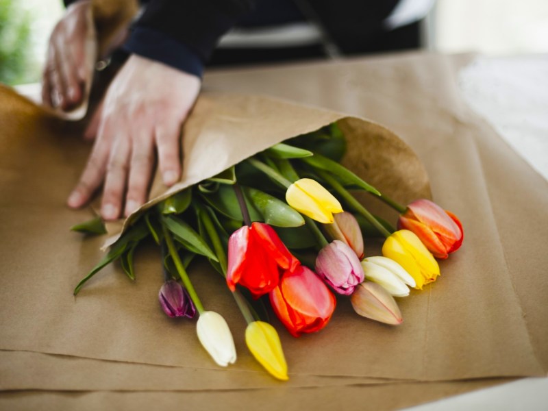 Hände packen Tulpen in Papier