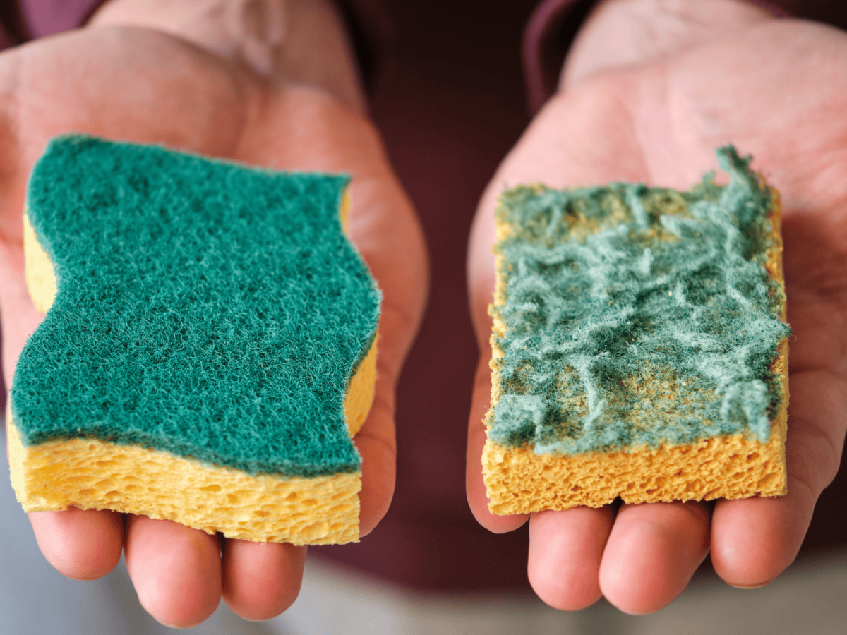 Person hält einen neuen und einen abgenutzten Küchenschwamm in den Händen.
