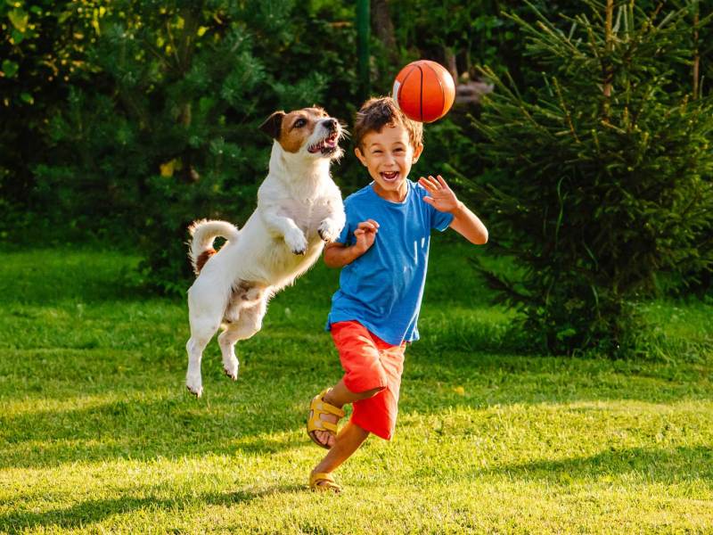 Junge und Hund spielen im Garten mit dem Ball.