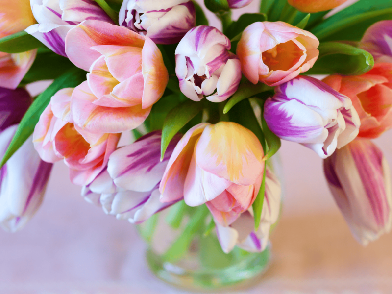 Bunte Tulpen in einer Glasvase.