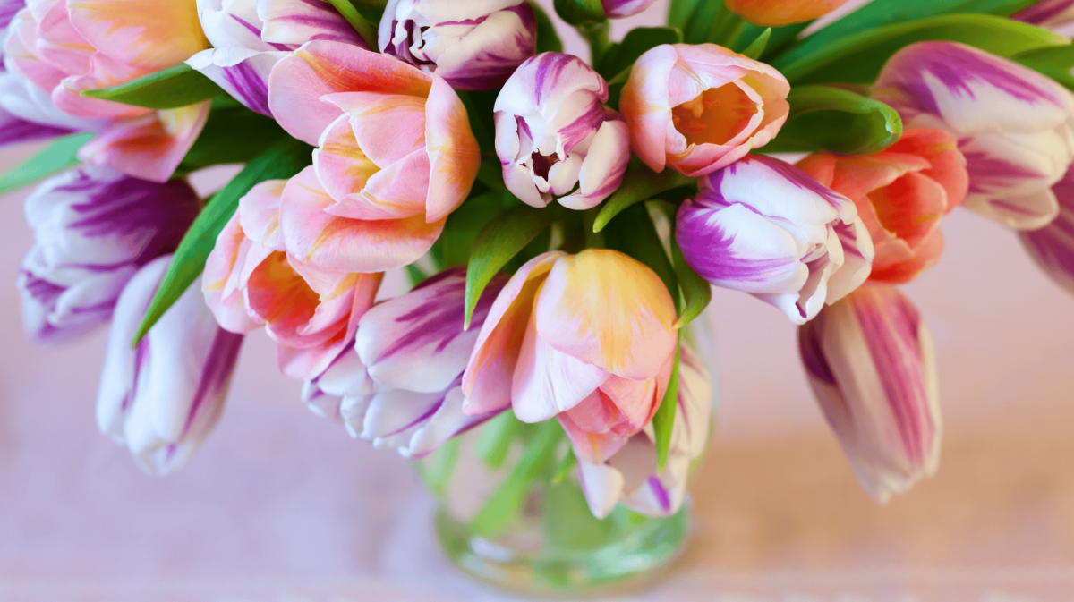 Bunte Tulpen in einer Glasvase.