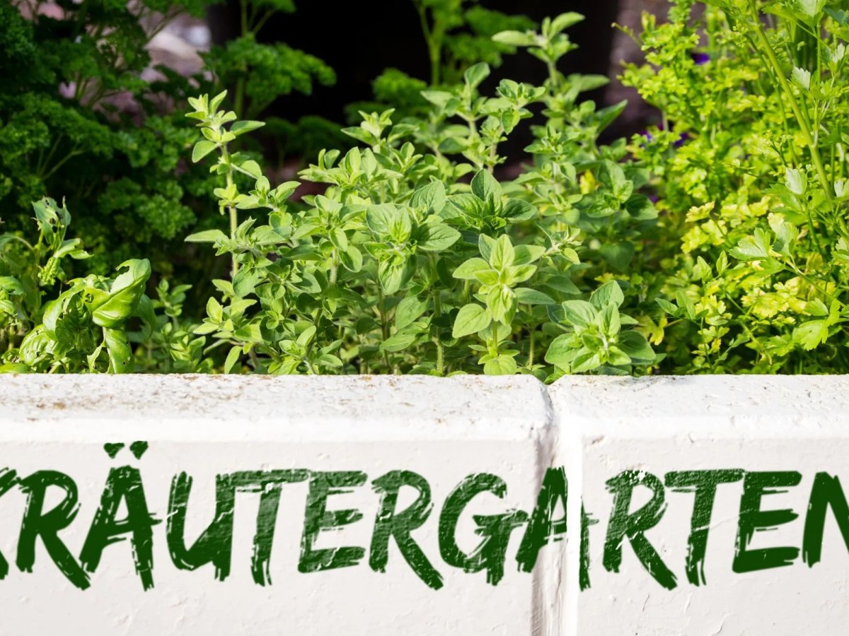 Kr&auml;utergarten mit Schild drau&szlig;en.