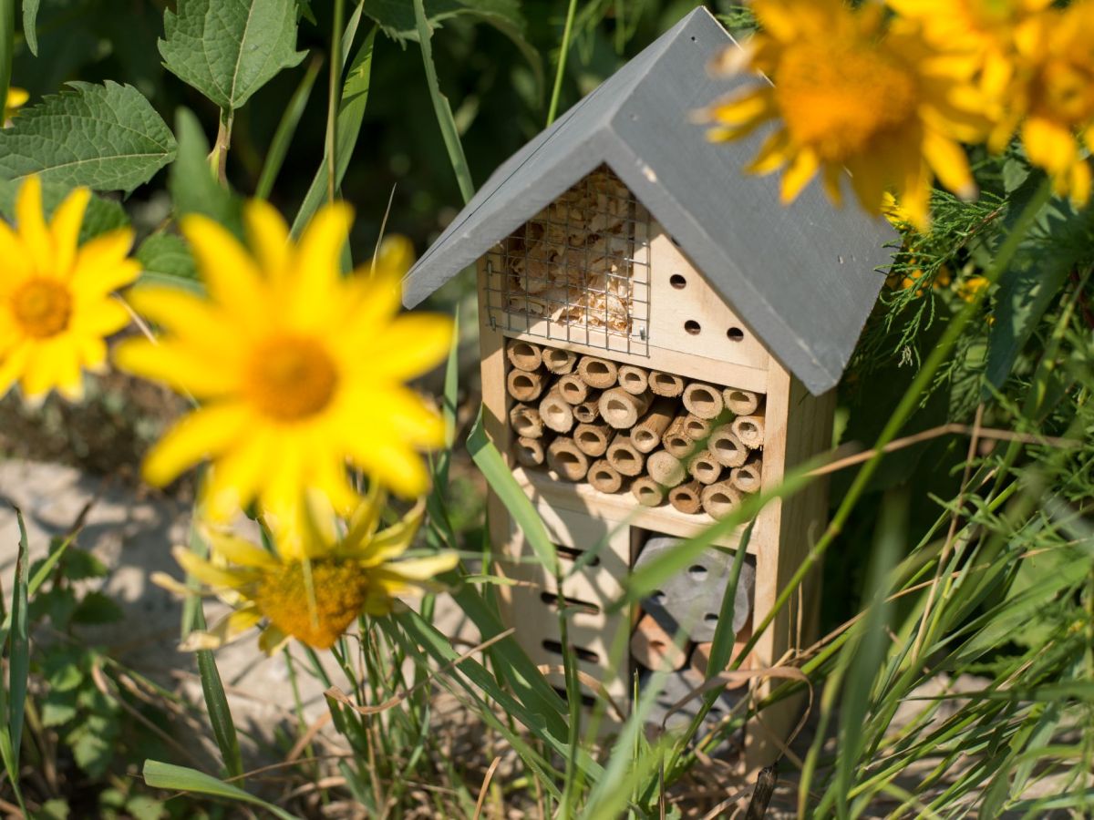 Insektenhotel mit gelber Blumen davor