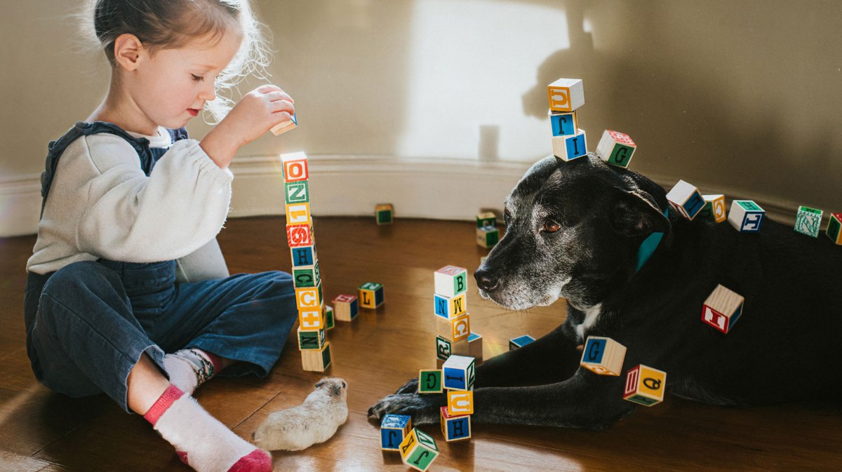 Mädchen sitzt auf dem Fußboden mit ihrem Hund und einem Hamster und baut Türme aus Bausteinen.