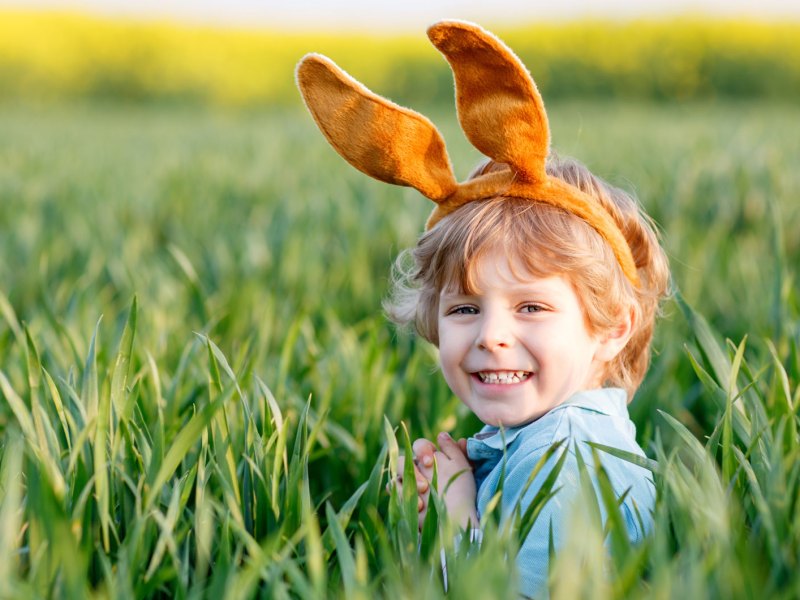Kleiner Junge trägt braune Hasenohren und steht in einem Feld mit Gras bis hoch zu seinen Schultern.