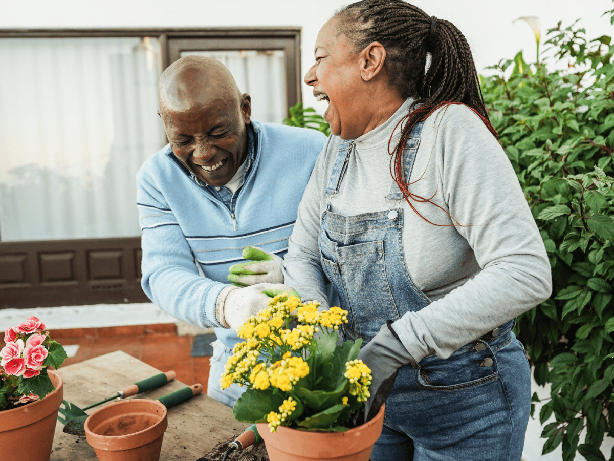 Ein &auml;lterer Mann und eine Frau lachen zusammen, w&auml;hrend die Blumen in &Uuml;bert&ouml;pfe einpflanzen.