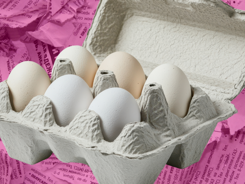 Eierkartons auf pinkem Zeitungspapier