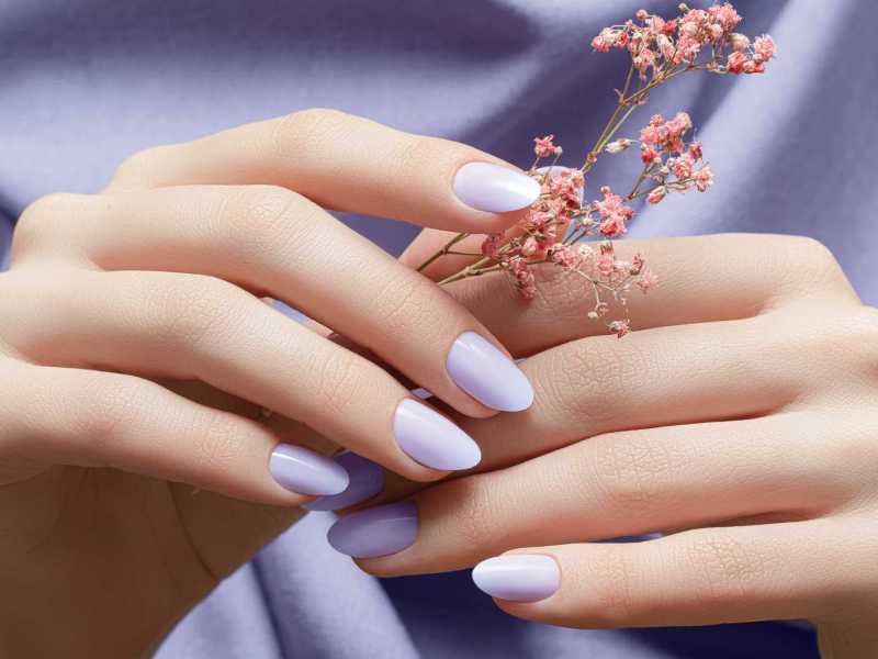 Lila lackierte Fingernägel halten eine Blume fest