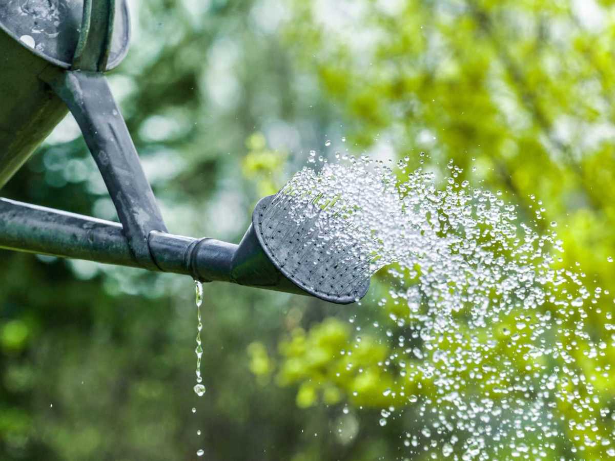 Gießkanne, aus der Wasser herausläuft