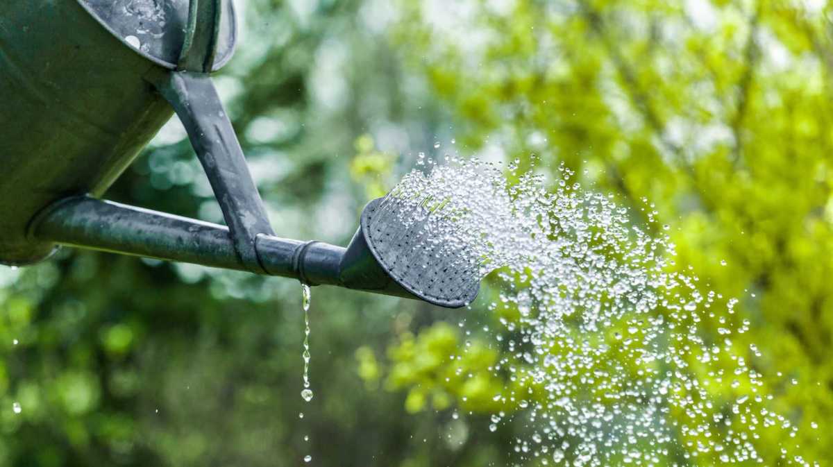 Gießkanne, aus der Wasser herausläuft