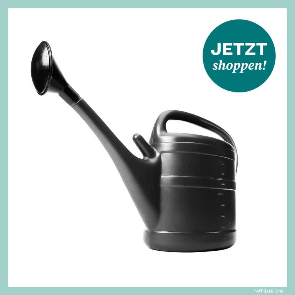 Schwarze Gießkanne