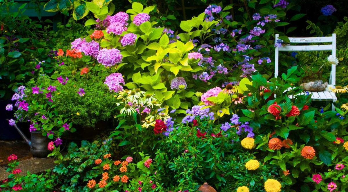 Bunt blühender romantischer Garten