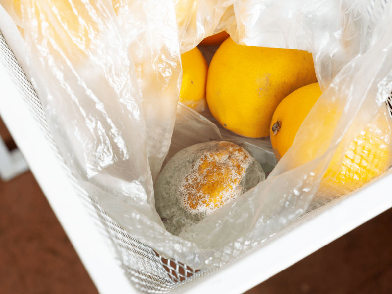 Schimmelige Zitronen in einer Tüte mit frischen Zitronen.