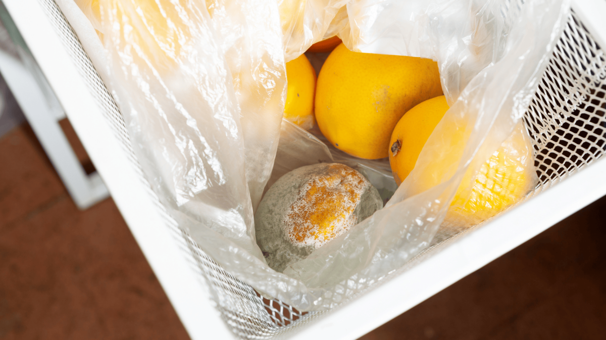 Schimmelige Zitronen in einer Tüte mit frischen Zitronen.