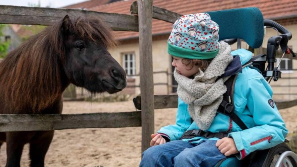 Ein Kind im Rollstuhl vor einem Pony auf dem Hof von Carolin Feismann.
