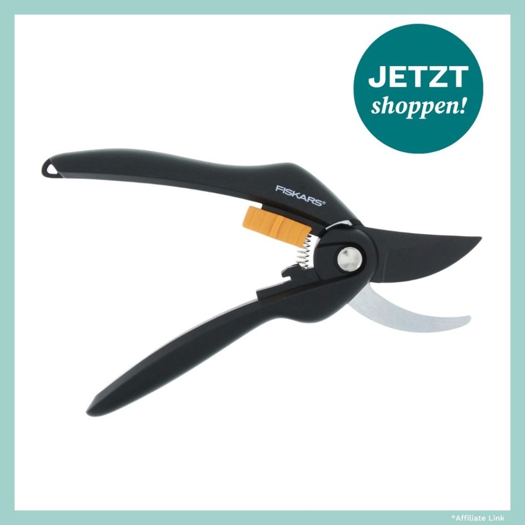 Die Hortensien in deinem Garten blühen nicht, wie gewünscht? Das könnte die Ursache sein.