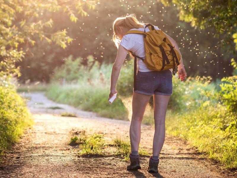 Frau auf einem Waldweg im Sommer, die sich mit Insektenschutz einsprüht.