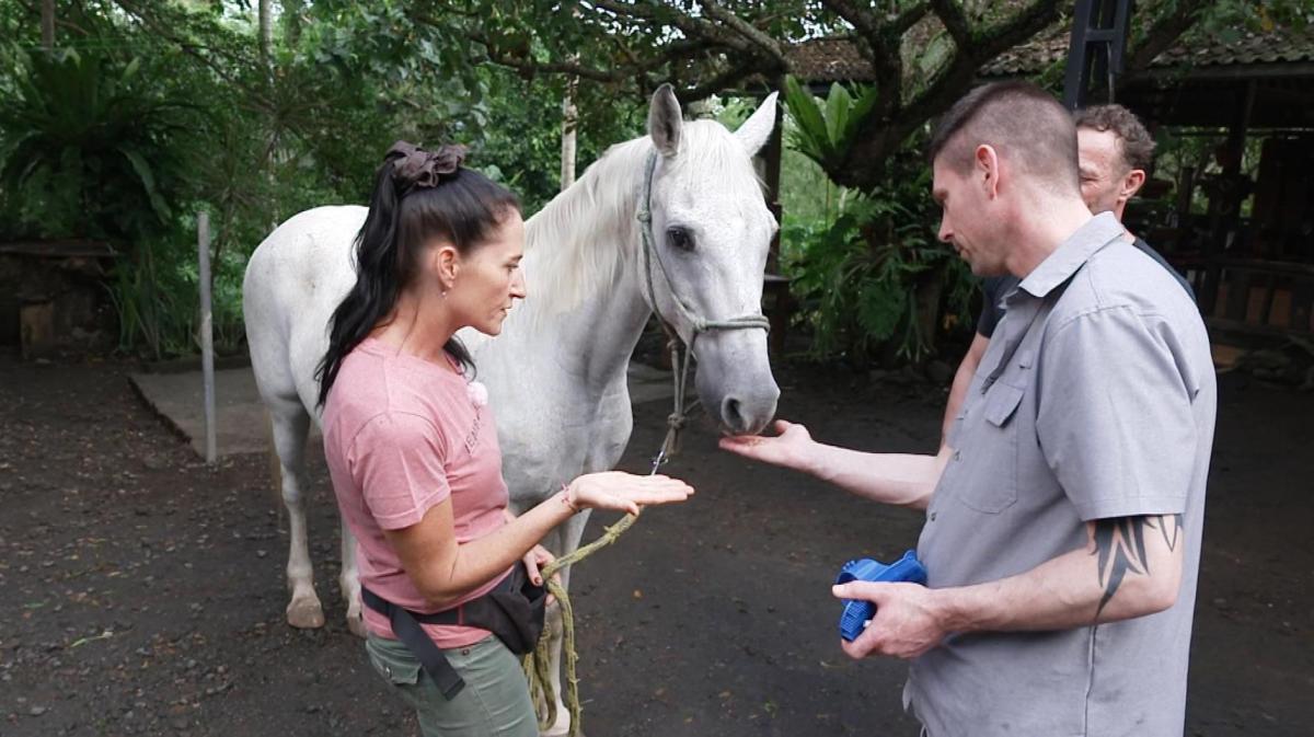 Patrick und Sven und Carmen bei einem Pferd.