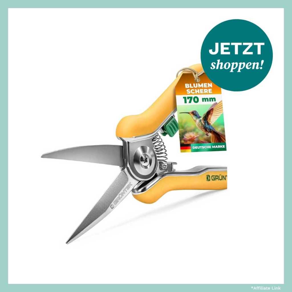 Produktbild Gartenschere für Rosen