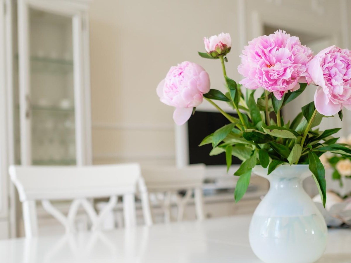 Rosa Pfingstrosen in einer Vase auf dem Tisch in der K&uuml;che