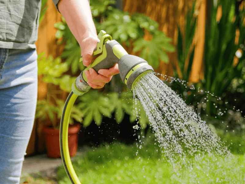 Person bewässert mit Gartenschlauch seinen Garten.