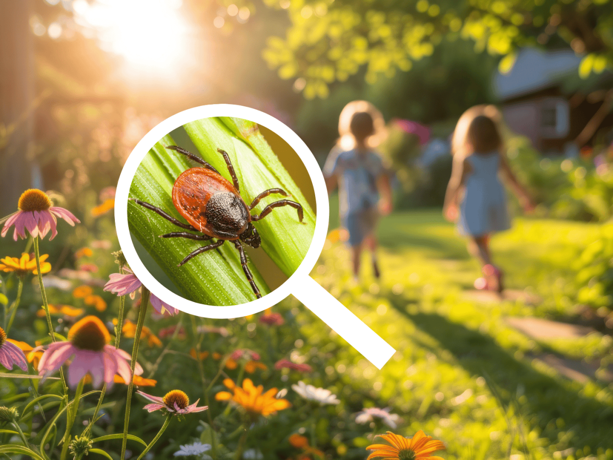 Kinder spielen im Garten, eine Lupe zeigt auf eine Zecke.