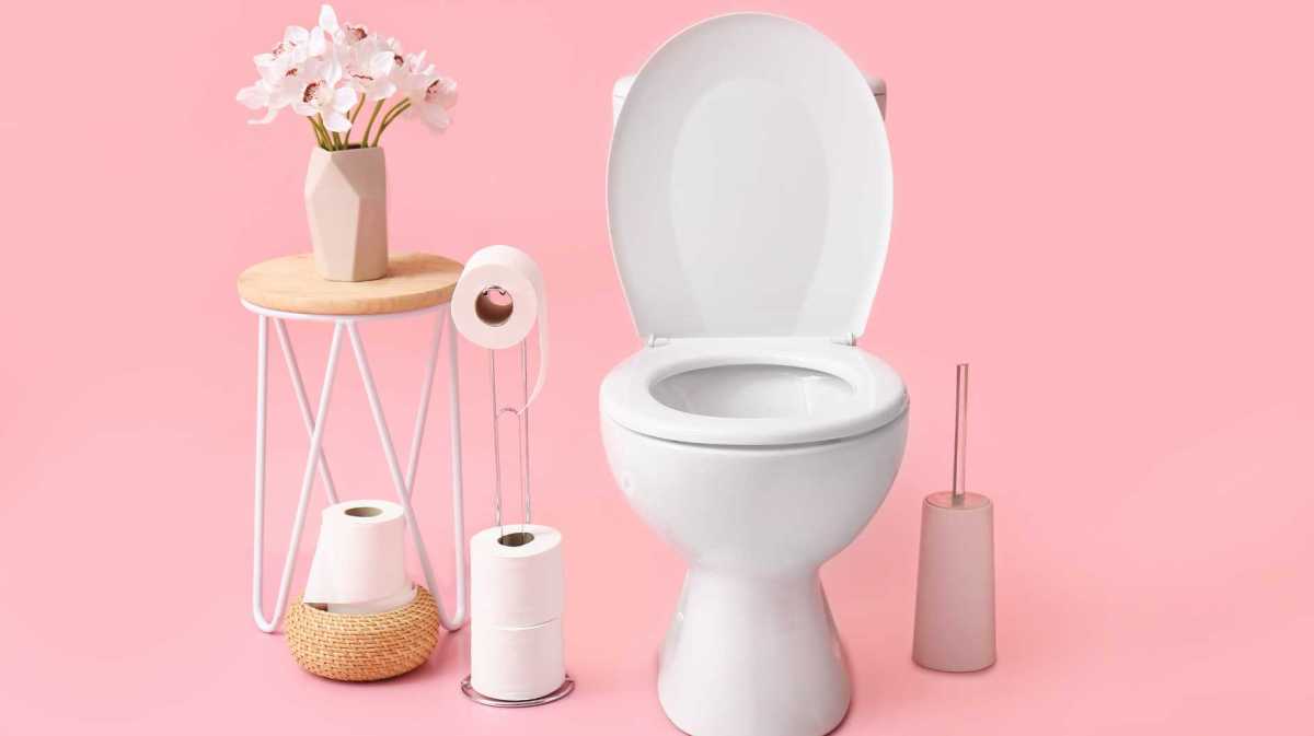 Toilette vor einem rosa Hintergrund