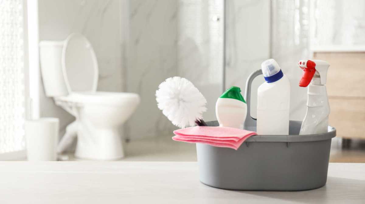 Putzmittel stehen vor der Toilette