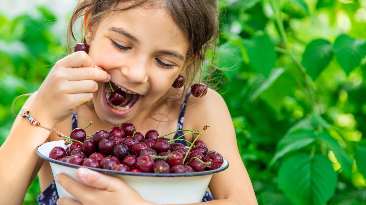 Mädchen mit braunen Haaren hat eine Schüssel Kirschen in der Hand und isst davon.