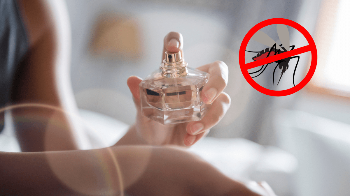 Frau, die sich mit einem Parfum einsprüht und daneben eine durchgestrichene Mücke.