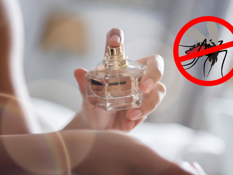 Frau, die sich mit einem Parfum einsprüht und daneben eine durchgestrichene Mücke.