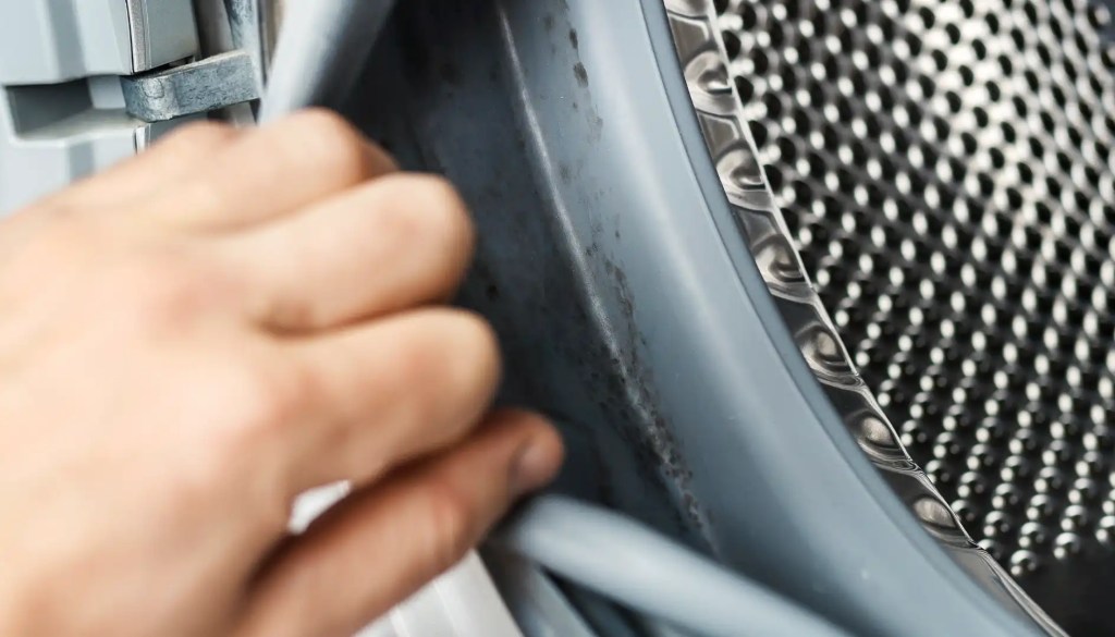 Fettläuse an der Waschmaschinen-Dichtung