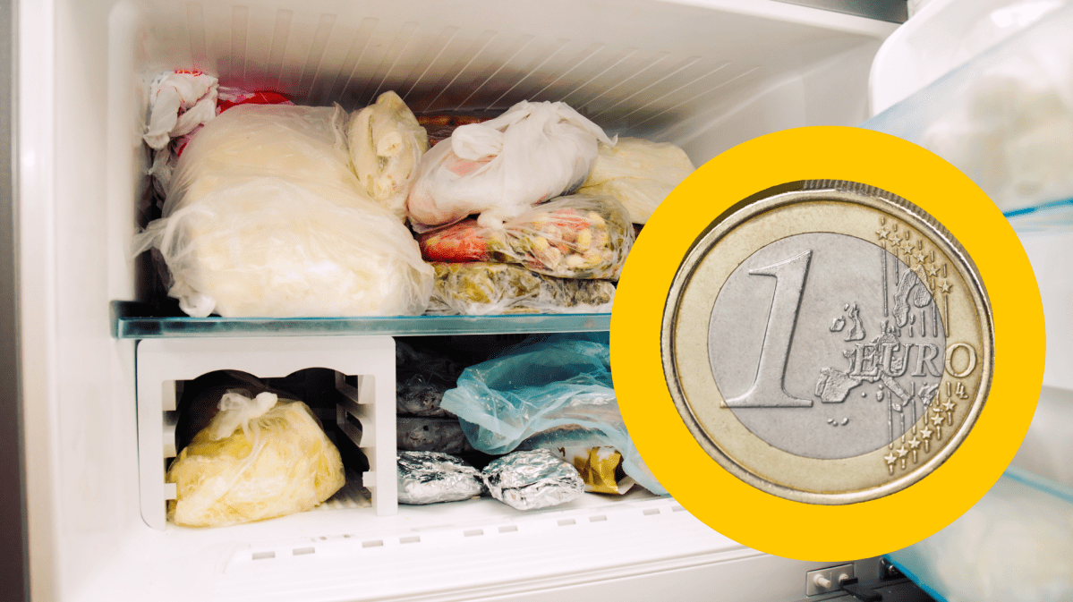 Euromünze vor Gefrierfach.